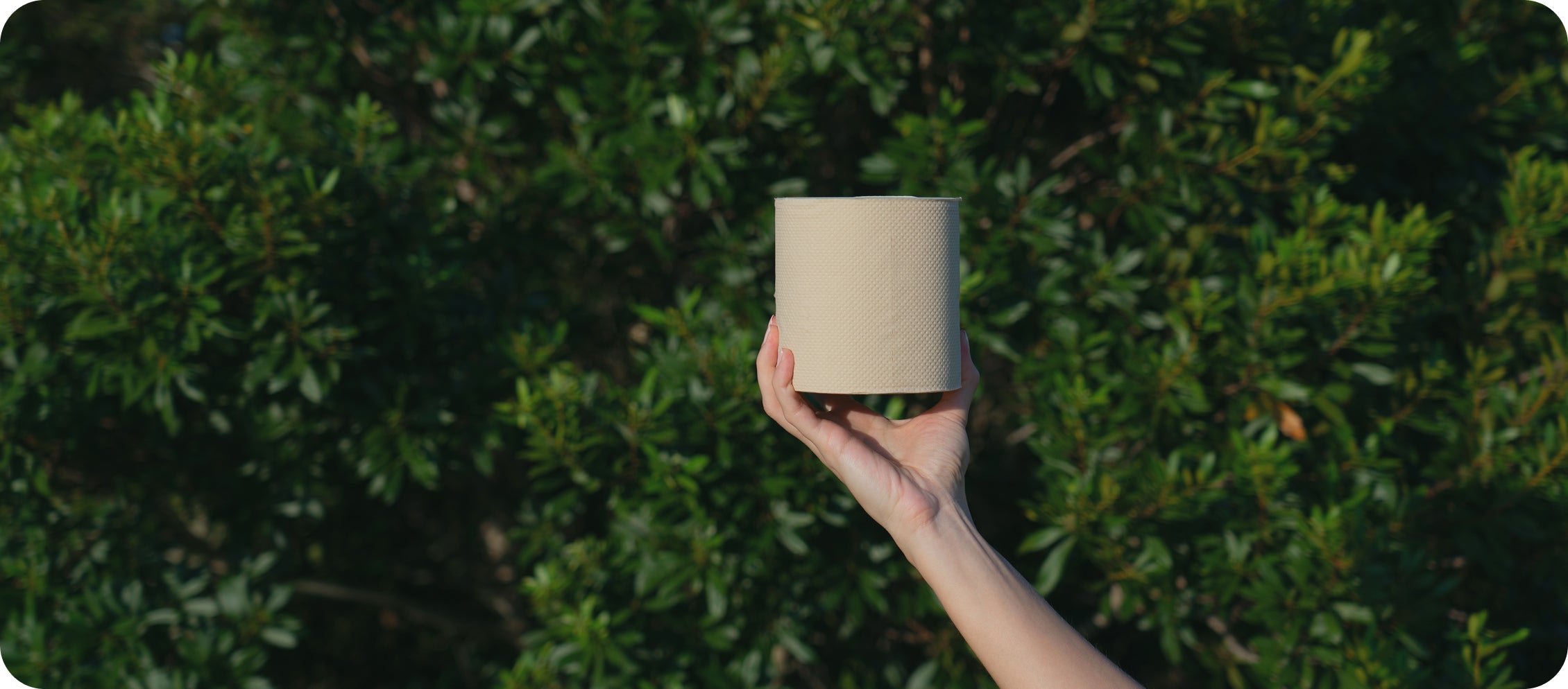 Lorem ipsum lobortis lectus tempor sed sed pellentesque. 6